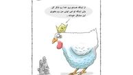 کاریکاتور:واکنش یک مرغ به وزیر کشاورزی!
