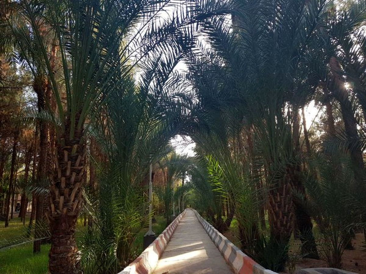 شهری که در نوروز نمونه شد