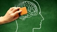 با این رژیم غذایی آلزایمر را فراری دهید