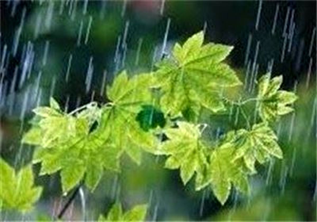 بارش پراکنده وپدیده گردوخاک طی ۲روز آینده