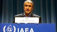محمد اسلامی: آمریکا فوراً تحریم‌ ها را لغو کند و به برجام برگردد
