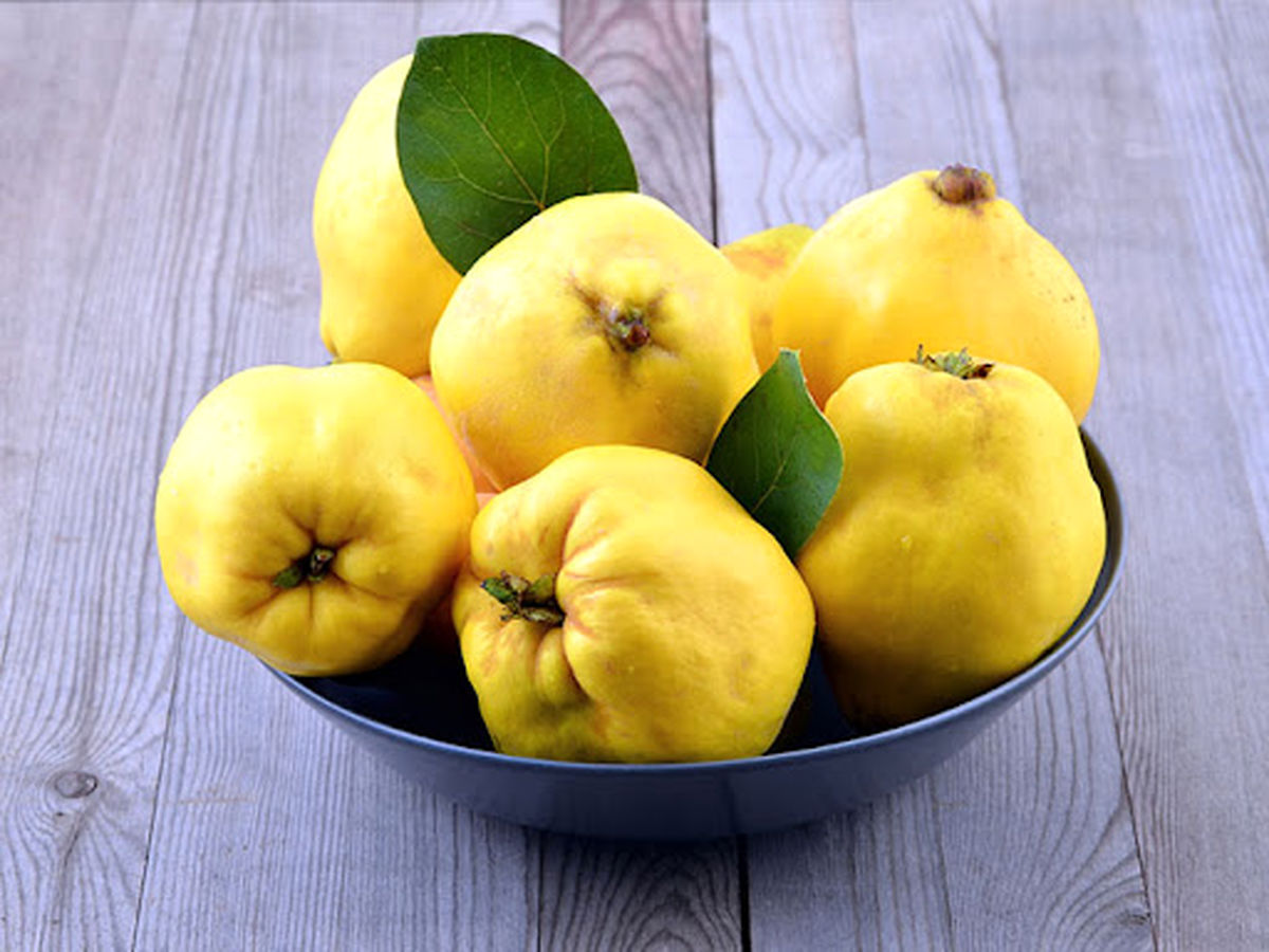 شاه میوه پاییز / بی رحم برای سرماخوردگی تا افسردگی زدایی و رفع کم خونی و آسم