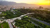 تصویر هوایی زیبا از پل طبیعت!