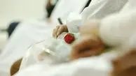 مشهدالرضا پایتخت ازدواج جوانان شد