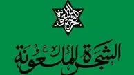 چرا رهبر معظم انقلاب از عبارت «شجره ملعونه» استفاده کردند؟