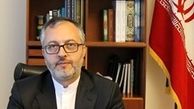 واکنش سفیرایران در دانمارک به ماجرای عروسی جنجالی پسرش
