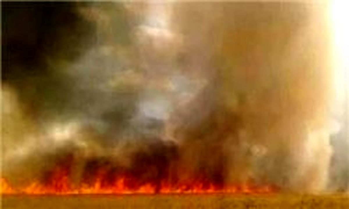 
عامل آتش سوزی خیابان پلیس
