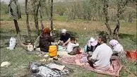 توصیه کارشناس تغذیه به مسافران نوروزی