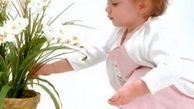 این گیاهان آپارتمانی جان کودک تان را تهدید می کند