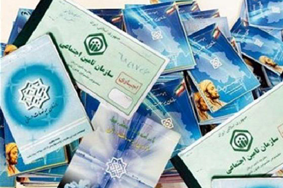 سالی ۱۰۰ هزار درخت برای ارائه دفترچه بیمه قطع می‌شود
