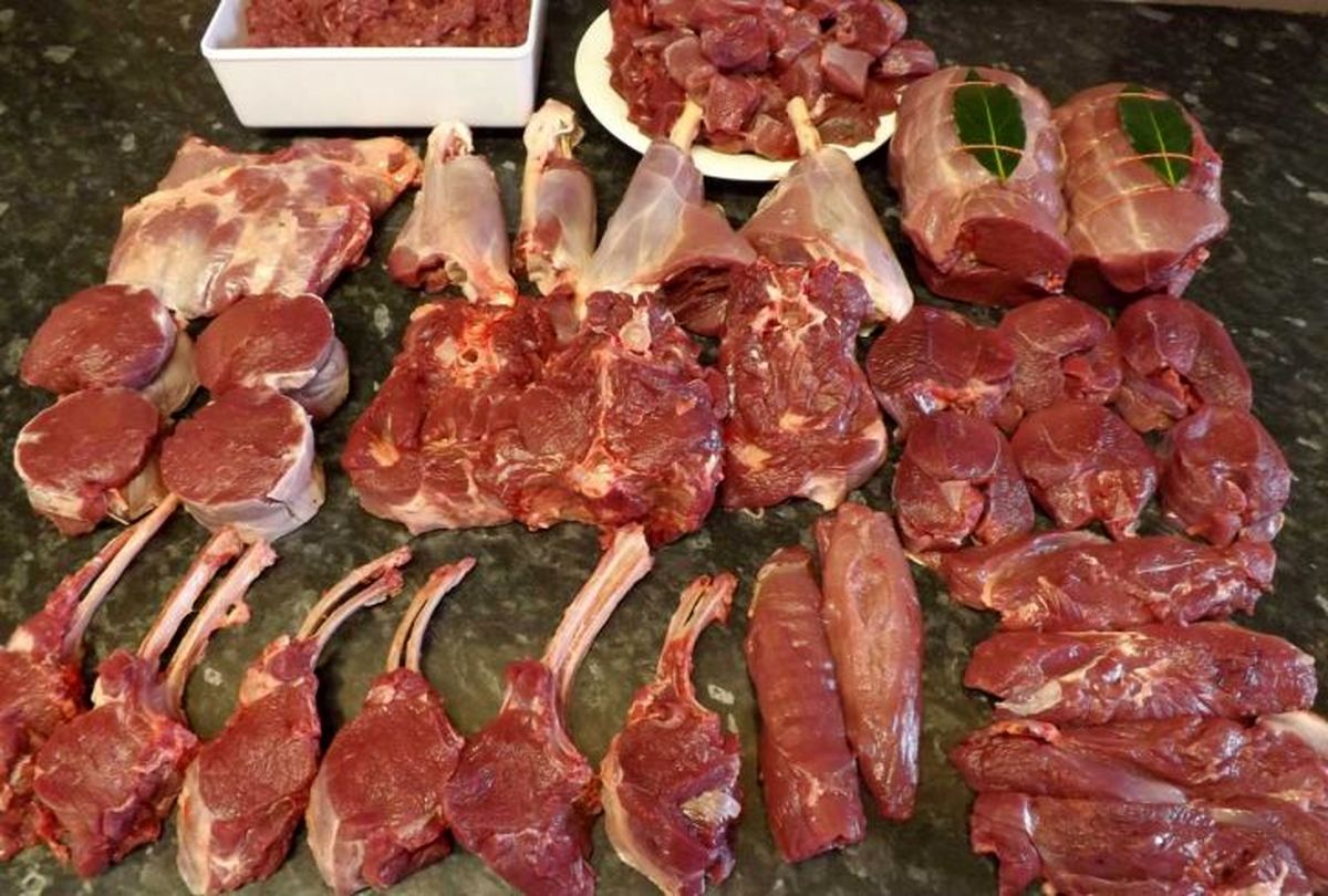 گوشت گوسفند طی روزهای گذشته 5000 تومان کاهش یافت