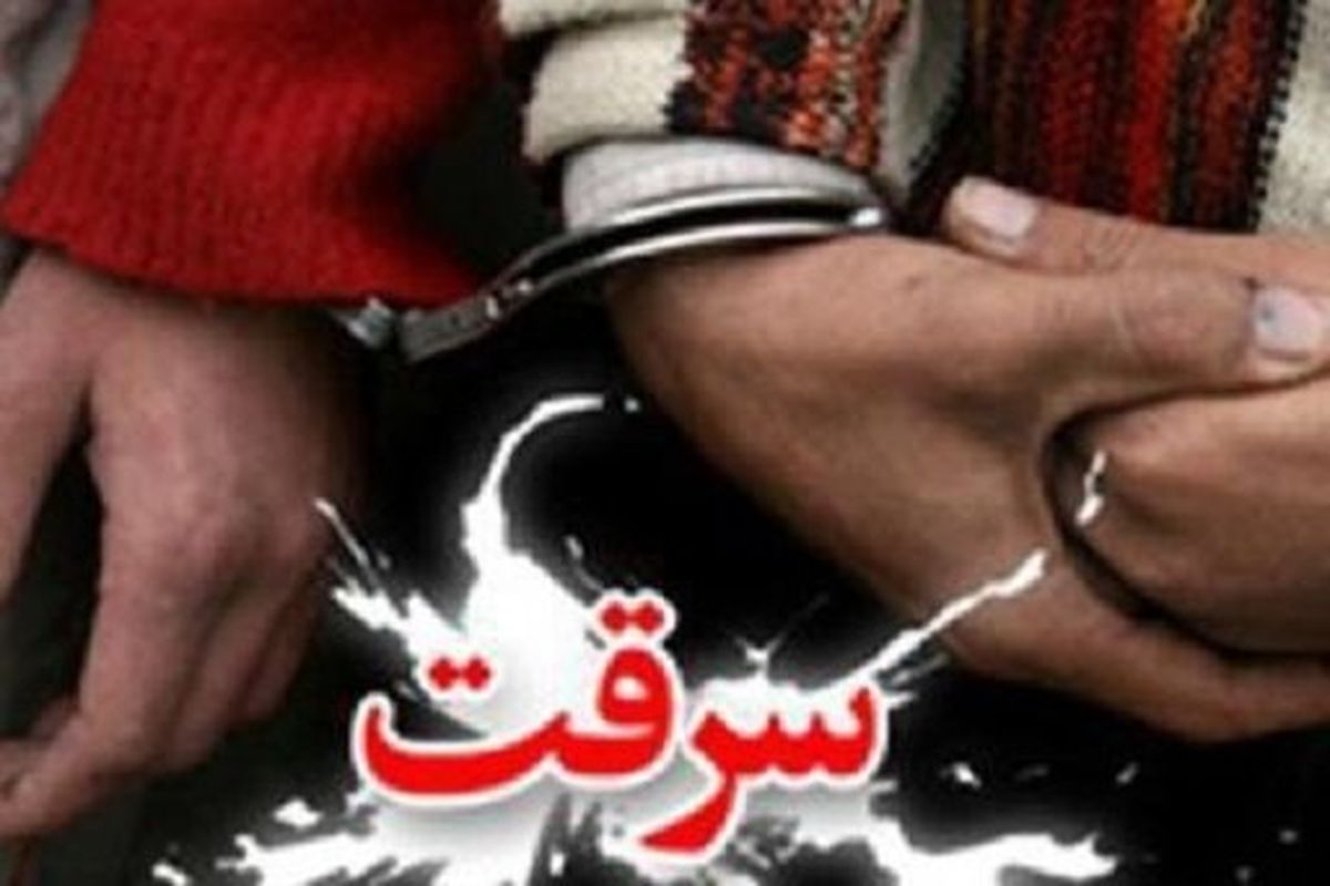 توصیه های ضروری به شهروندان برای کاهش وقوع سرقت