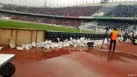 امکانات ضعیف ورزشگاه آزادی برای جمع کردن کاورها/عکس