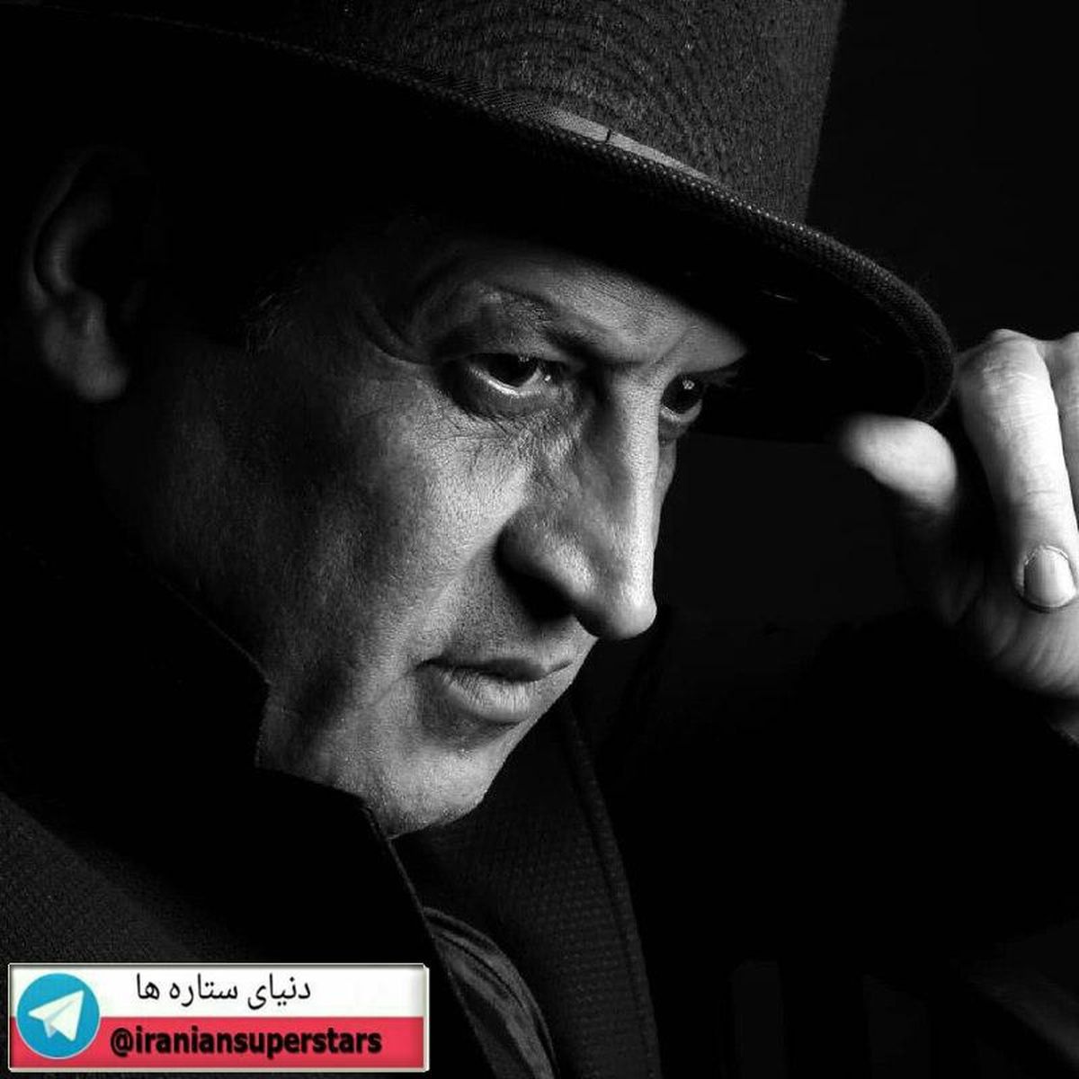 عکس مدلینگی بهمن هاشمی!
