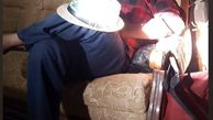 ژست گرفتن نصرالله رادش در یک عصر آفتابی + عکس