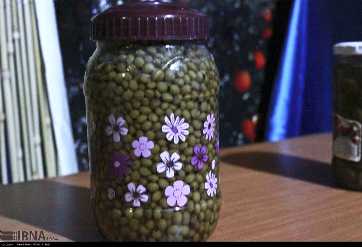 برگزاری جشنواره بنه در جنوب استان جیرفت
