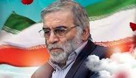 افشای علت اصلی ترور ‎شهید فخری‌زاده از زبان یک نماینده مجلس