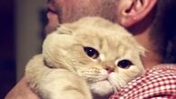 گربه لوس نیما شعبان نژاد + عکس