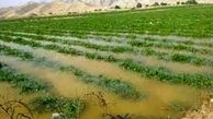 صندوق‌های بیمه کشاورزی برای حل مشکلات کشاورزان کمک کنند