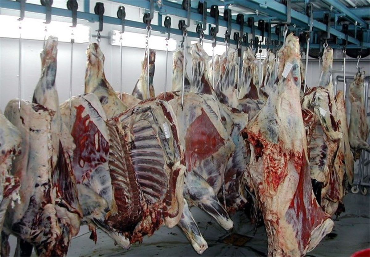 کشتارگاه شهرداری فاقد برخی زیرساخت های بهداشتی لازم است