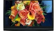 ویژه برنامه‌های تلویزیون برای عید فطر
