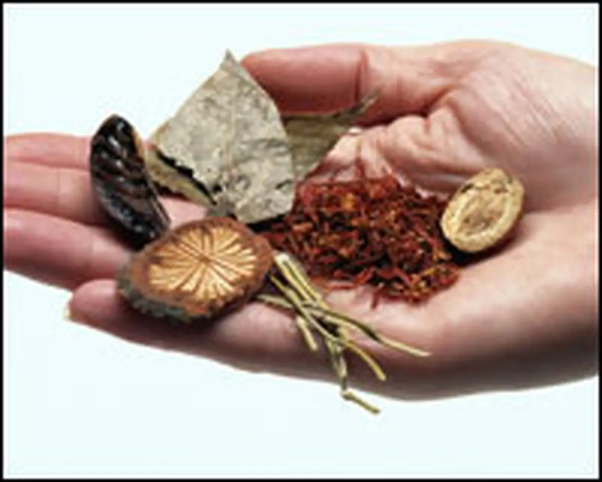 اختصاص تنها یک میلیارد تومان بودجه برای توسعه طب سنتی