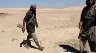 داعش ۱۲  نفر از اعضای یک خانواده عراقی را به قتل رساند