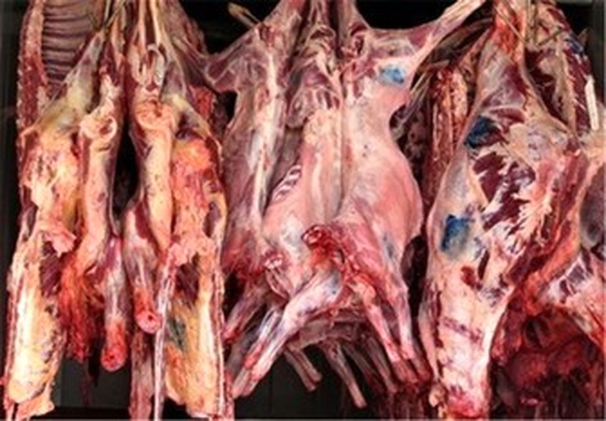 رکود بر بازار گوشت گوسفندی حاکم است