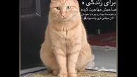 پست عجیب بازیگر سریال دلدار که سر و صدا کرد+عکس