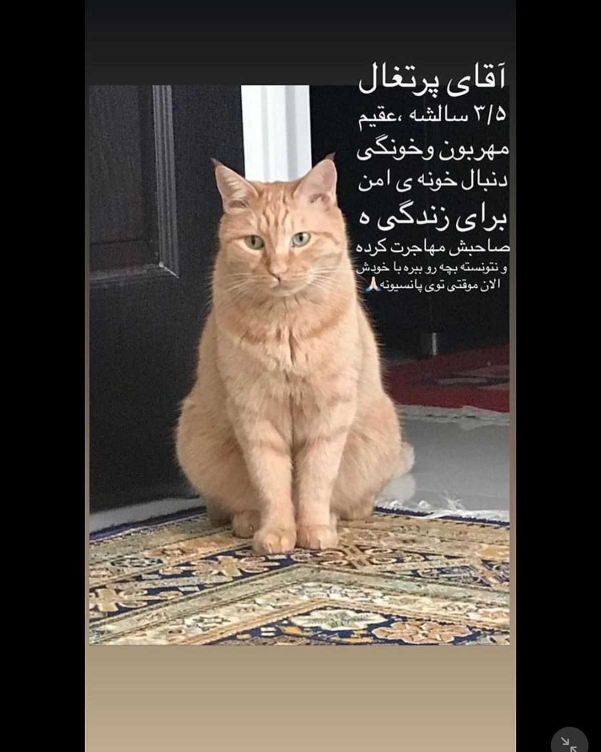 پست عجیب بازیگر سریال دلدار که سر و صدا کرد+عکس