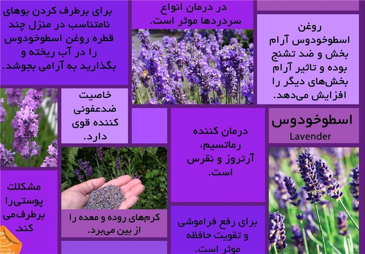  تأثیر گیاه اسطوخودوس بر بی‌خوابی و اضطراب 