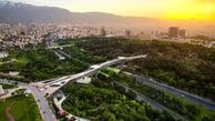 پل طبیعت بنفش می شود