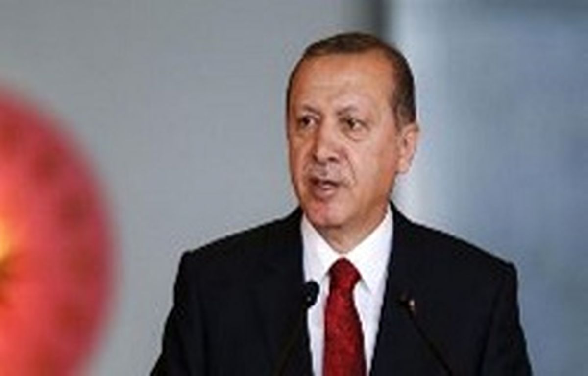 اردوغان از مخالفان گذر به نظام ریاستی انتقاد کرد
