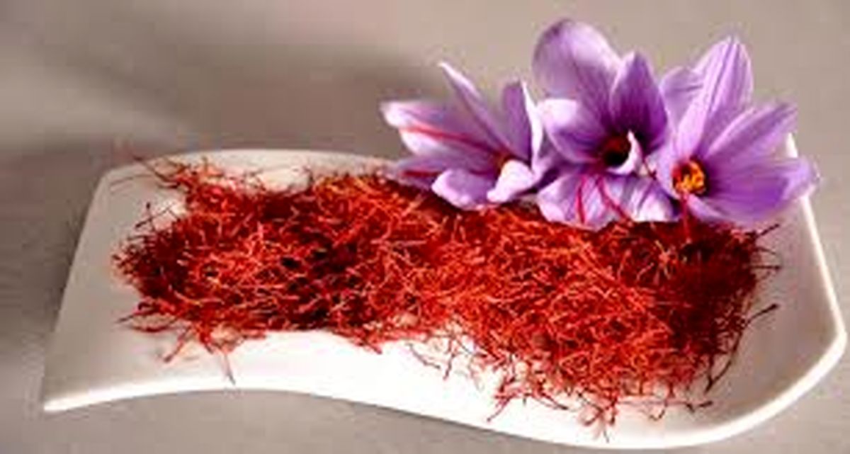 کاهش صادرات طلای سرخ 