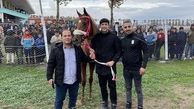 اسب زیبا سردار آزمون + عکس