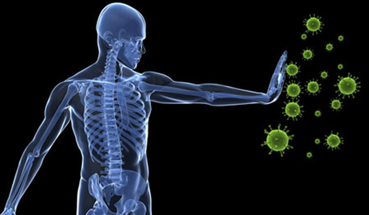 6 اصل طب سنتی برای سلامتی