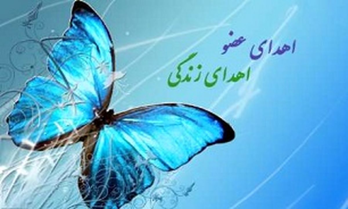 اهدای اعضای بدن نوعروس قمی به بیماران نیازمند