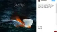 واکنش بازیگر زن مشهور به حادثه سانچی/عکس