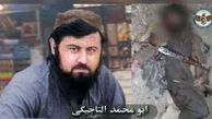 کشته شدن سرکرده ارشد القاعده در افغانستان
