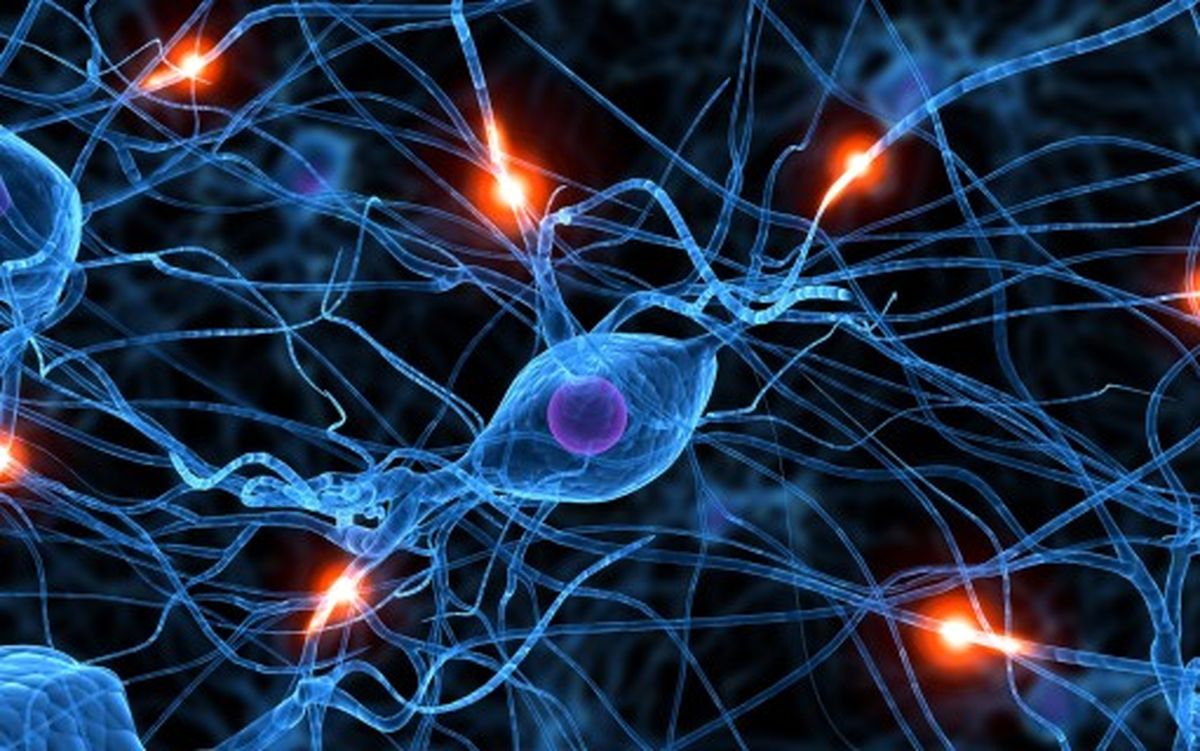 تولید اعضای یدکی بدن به واقعیت نزدیک‌تر می‌شود