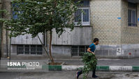 تهران طوفانی می شود ؛ هواشناسی هشدار داد 