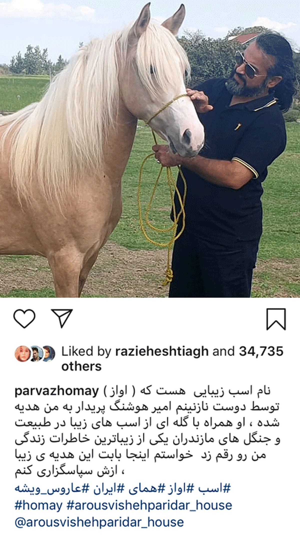 هدیه لاکچری و گران قیمت پرواز همای+عکس