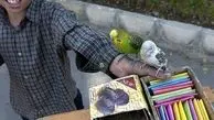 گفت‌وگو با مادری که فرزند ٥ساله‌اش را برای فروش گذاشته است