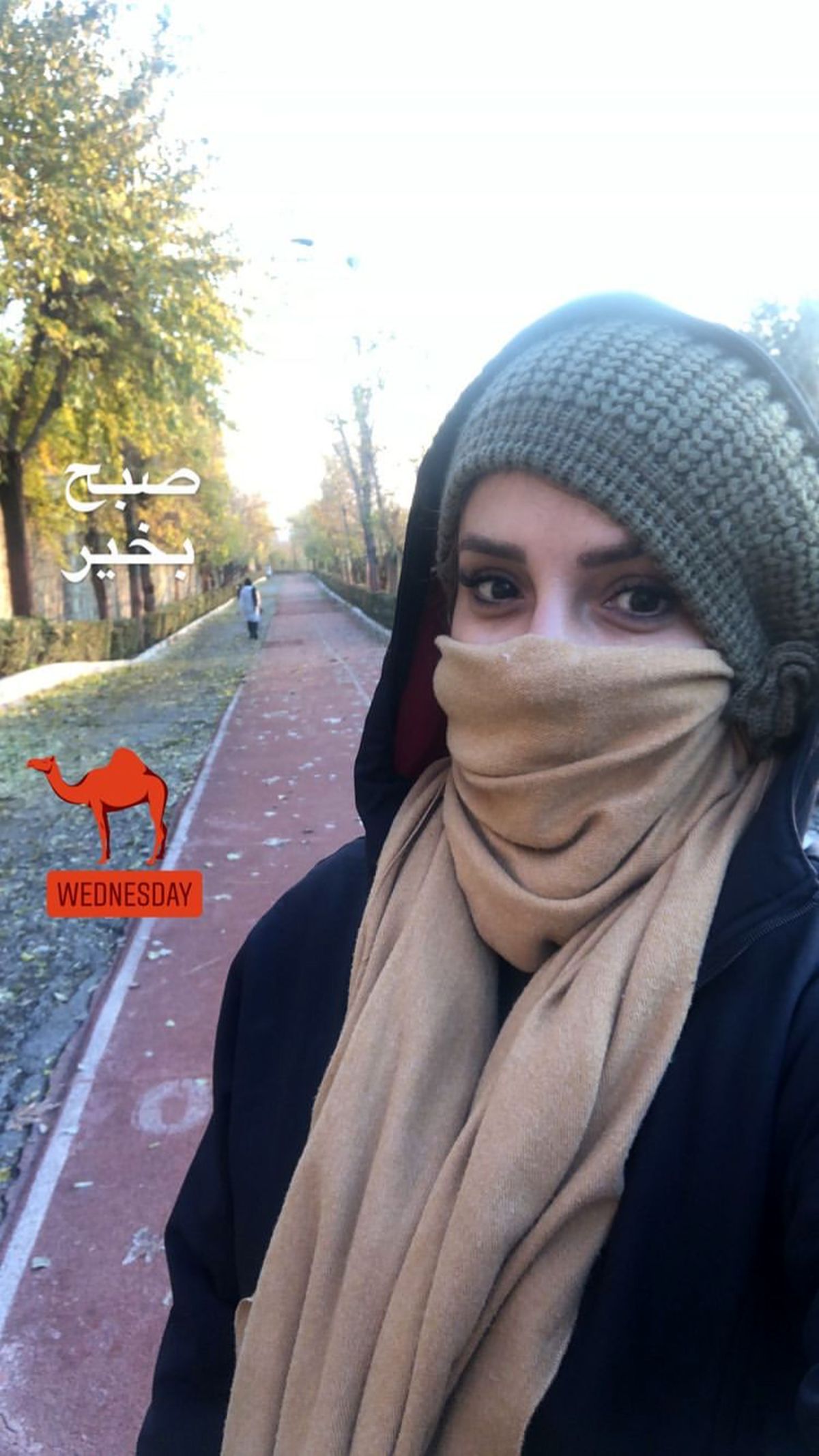 پیاده روی شبنم قلی خانی در هوای پاییزی + عکس