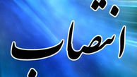 فاضل عبادی به عنوان مدیرکل دبیرخانه شورای فرهنگ عمومی منصوب شد