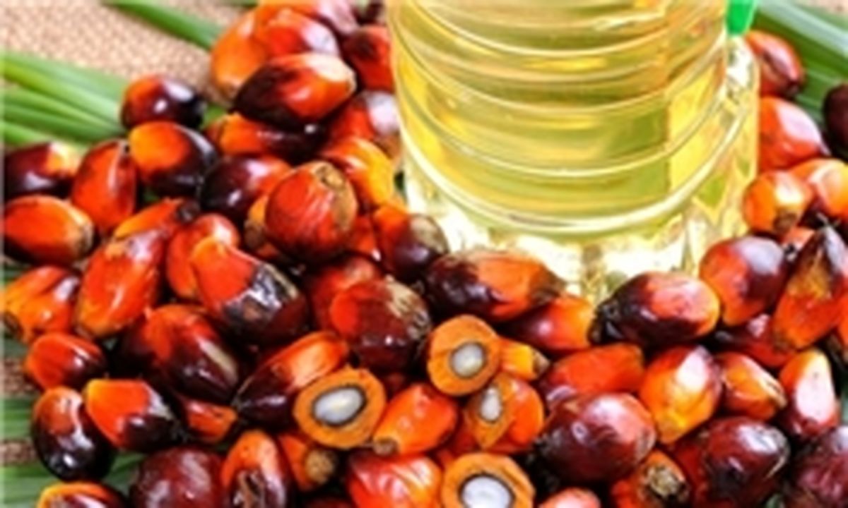 
عده ای به خاطر کسب منافع به دنبال تطهیر مضرات روغن پالم هستند 
