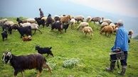 «نیوزلندِ ایران» کجاست؟ +عکس