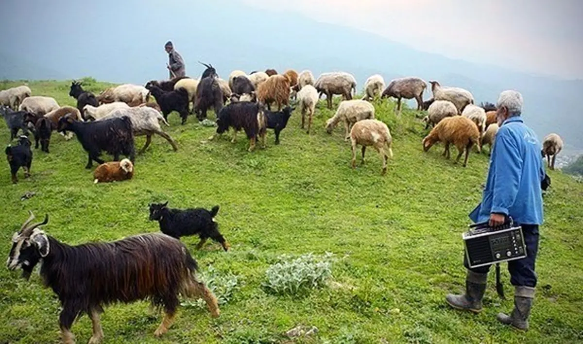 «نیوزلندِ ایران» کجاست؟ +عکس