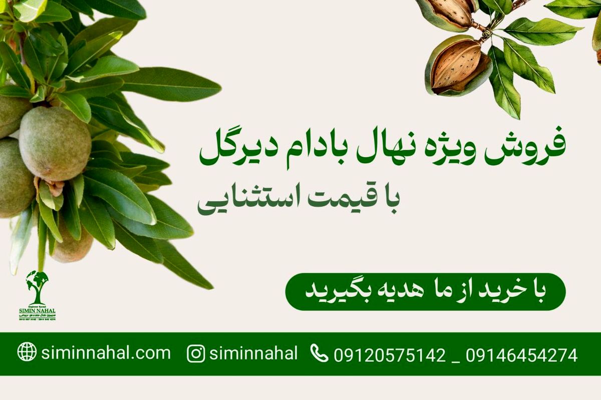 فروش ویژه نهال بادام دیرگل