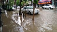 هواشناسی ایران ۹۹/۱/۲۹| پیش‌ بینی بارش‌های ۵ روزه در اکثر مناطق کشور
